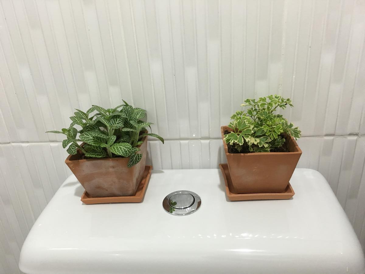 Wanmai Herb Garden Bangkok Dış mekan fotoğraf